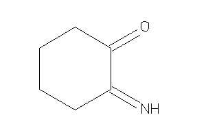 Image of 2-iminocyclohexanone