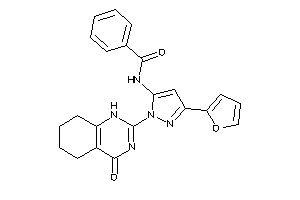 N-[5-(2-furyl)-2-(4-keto-5,6,7,8-tetrahydro-1H-quinazolin-2-yl)pyrazol-3-yl]benzamide