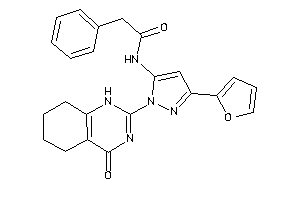 Image of N-[5-(2-furyl)-2-(4-keto-5,6,7,8-tetrahydro-1H-quinazolin-2-yl)pyrazol-3-yl]-2-phenyl-acetamide
