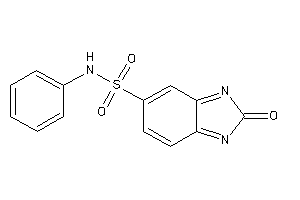 Image of 2-keto-N-phenyl-benzimidazole-5-sulfonamide