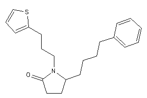 5-(4-phenylbutyl)-1-[3-(2-thienyl)propyl]-2-pyrrolidone