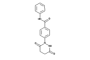 4-(3,6-diketohexahydropyridazin-1-yl)-N-phenyl-benzamide