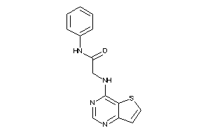 N-phenyl-2-(thieno[3,2-d]pyrimidin-4-ylamino)acetamide