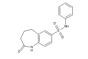 Image of 2-keto-N-phenyl-1,3,4,5-tetrahydro-1-benzazepine-7-sulfonamide