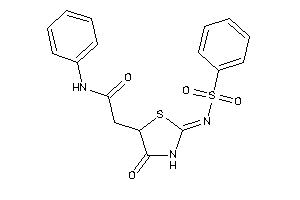 2-(2-besylimino-4-keto-thiazolidin-5-yl)-N-phenyl-acetamide