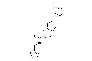 6-keto-1-[3-(2-ketopyrrolidino)propyl]-N-(2-thenyl)nipecotamide