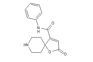 Image of 2-keto-N-phenyl-1-oxa-8-azaspiro[4.5]dec-3-ene-4-carboxamide