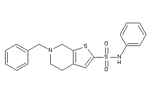 6-benzyl-N-phenyl-5,7-dihydro-4H-thieno[2,3-c]pyridine-2-sulfonamide