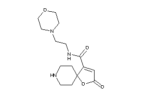 2-keto-N-(2-morpholinoethyl)-1-oxa-8-azaspiro[4.5]dec-3-ene-4-carboxamide
