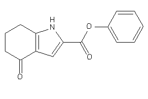 4-keto-1,5,6,7-tetrahydroindole-2-carboxylic Acid Phenyl Ester