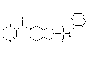 N-phenyl-6-pyrazinoyl-5,7-dihydro-4H-thieno[2,3-c]pyridine-2-sulfonamide