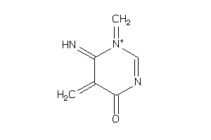 6-imino-1,5-dimethylene-pyrimidin-1-ium-4-one