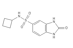 Image of N-cyclobutyl-2-keto-1,3-dihydrobenzimidazole-5-sulfonamide