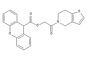 Image of 9H-xanthene-9-carboxylic Acid [2-(6,7-dihydro-4H-thieno[3,2-c]pyridin-5-yl)-2-keto-ethyl] Ester
