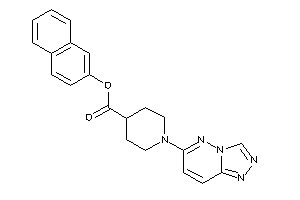 Image of 1-([1,2,4]triazolo[3,4-f]pyridazin-6-yl)isonipecot 2-naphthyl Ester