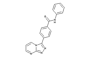 N-phenyl-4-([1,2,4]triazolo[4,3-a]pyrimidin-3-yl)benzamide