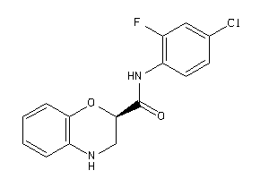 37029104