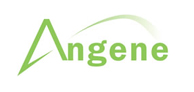 Angene Building Blocks Logo