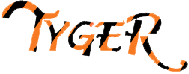 Tyger Building Blocks Logo