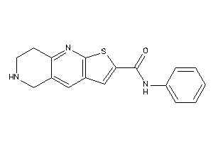 N-phenyl-5,6,7,8-tetrahydrothieno[2,3-b][1,6]naphthyridine-2-carboxamide