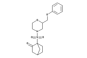 1-[2-(phenoxymethyl)morpholino]sulfonylnorbornan-2-one