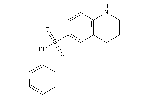 N-phenyl-1,2,3,4-tetrahydroquinoline-6-sulfonamide