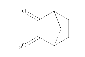 Image of 3-methylenenorbornan-2-one