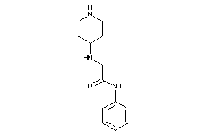 N-phenyl-2-(4-piperidylamino)acetamide