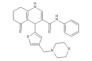 5-keto-4-[4-(morpholinomethyl)-2-thienyl]-N-phenyl-4,6,7,8-tetrahydro-1H-quinoline-3-carboxamide