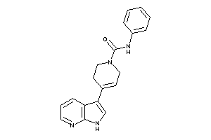 N-phenyl-4-(1H-pyrrolo[2,3-b]pyridin-3-yl)-3,6-dihydro-2H-pyridine-1-carboxamide