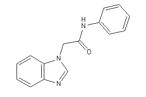 2-(benzimidazol-1-yl)-N-phenyl-acetamide