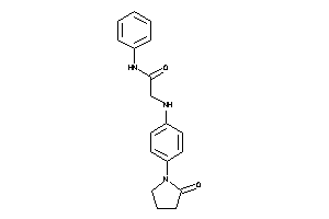 2-[4-(2-ketopyrrolidino)anilino]-N-phenyl-acetamide