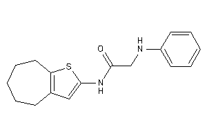 2-anilino-N-(5,6,7,8-tetrahydro-4H-cyclohepta[b]thiophen-2-yl)acetamide