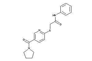 N-phenyl-2-[[5-(pyrrolidine-1-carbonyl)-2-pyridyl]thio]acetamide