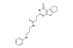 N-(3-anilinopropyl)-3-(ketoBLAHyl)propionamide