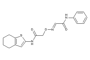 2-[(2-anilino-2-keto-ethylidene)amino]oxy-N-(4,5,6,7-tetrahydrobenzothiophen-2-yl)acetamide