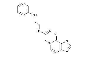 Image of N-(2-anilinoethyl)-2-(4-ketothieno[3,2-d]pyrimidin-3-yl)acetamide