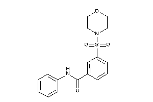 3-morpholinosulfonyl-N-phenyl-benzamide