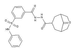 3-[[(9-ketobicyclo[3.3.1]nonane-7-carbonyl)amino]carbamoyl]-N-phenyl-benzenesulfonamide