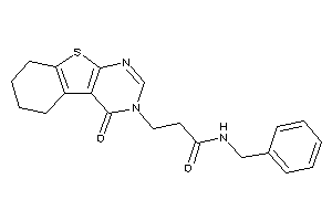 Image of N-benzyl-3-(4-keto-5,6,7,8-tetrahydrobenzothiopheno[2,3-d]pyrimidin-3-yl)propionamide