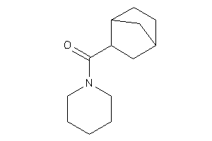 2-norbornyl(piperidino)methanone