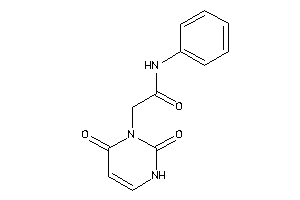 2-(2,4-diketo-1H-pyrimidin-3-yl)-N-phenyl-acetamide