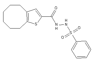 N'-besyl-4,5,6,7,8,9-hexahydrocycloocta[b]thiophene-2-carbohydrazide