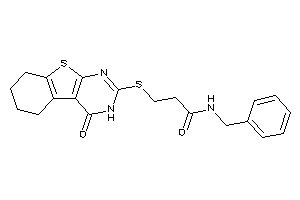 N-benzyl-3-[(4-keto-5,6,7,8-tetrahydro-3H-benzothiopheno[2,3-d]pyrimidin-2-yl)thio]propionamide