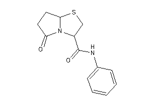 5-keto-N-phenyl-3,6,7,7a-tetrahydro-2H-pyrrolo[2,1-b]thiazole-3-carboxamide