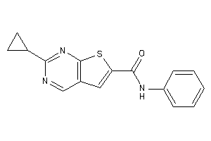 2-cyclopropyl-N-phenyl-thieno[2,3-d]pyrimidine-6-carboxamide