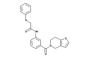 N-[3-(6,7-dihydro-4H-thieno[3,2-c]pyridine-5-carbonyl)phenyl]-2-phenoxy-acetamide