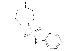 N-phenyl-1,4-diazepane-1-sulfonamide