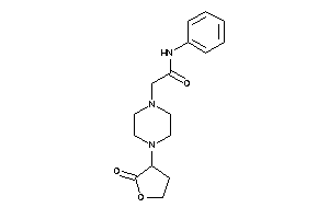 2-[4-(2-ketotetrahydrofuran-3-yl)piperazino]-N-phenyl-acetamide