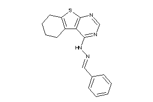 (benzalamino)-(5,6,7,8-tetrahydrobenzothiopheno[2,3-d]pyrimidin-4-yl)amine